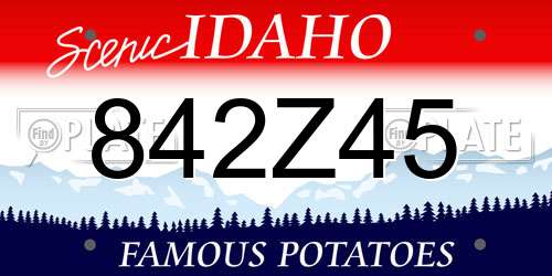 842Z45 Idaho License Plate
