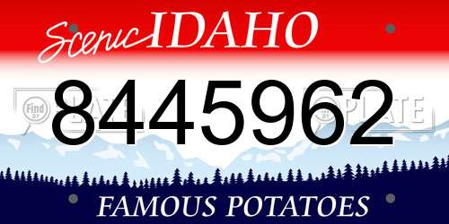 8445962 Idaho License Plate