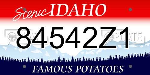 84542Z1 Idaho License Plate
