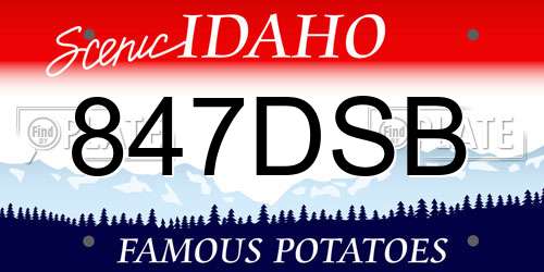 847DSB Idaho License Plate