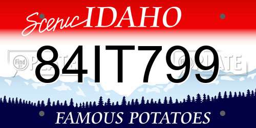 84IT799 Idaho License Plate