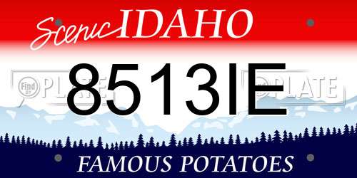 8513IE Idaho License Plate