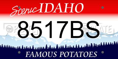 8517BS Idaho License Plate