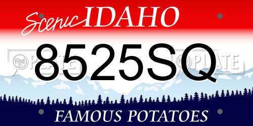8525SQ Idaho License Plate