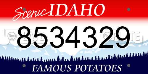 8534329 Idaho License Plate