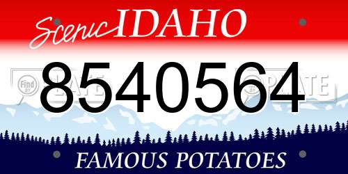 8540564 Idaho License Plate
