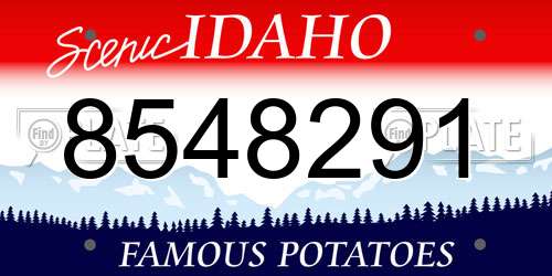8548291 Idaho License Plate