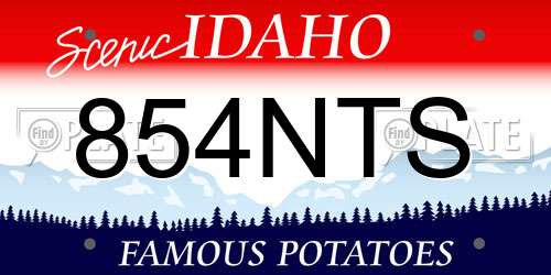 854NTS Idaho License Plate