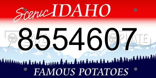 8554607 Idaho License Plate