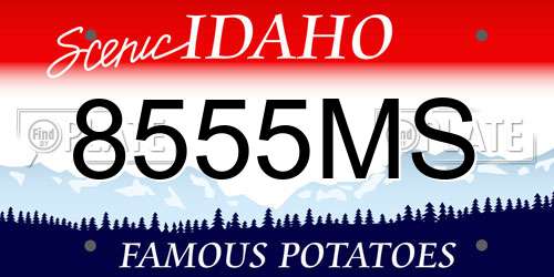 8555MS Idaho License Plate