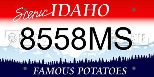 8558MS Idaho License Plate