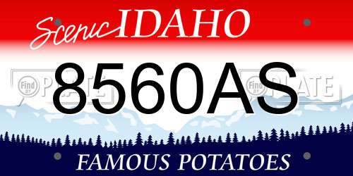 8560AS Idaho License Plate