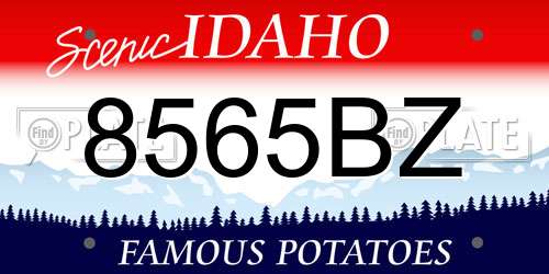 8565BZ Idaho License Plate