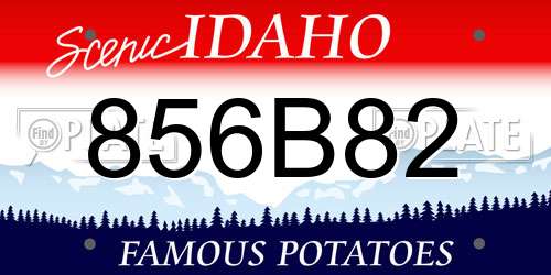 856B82 Idaho License Plate