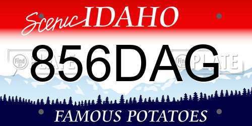 856DAG Idaho License Plate
