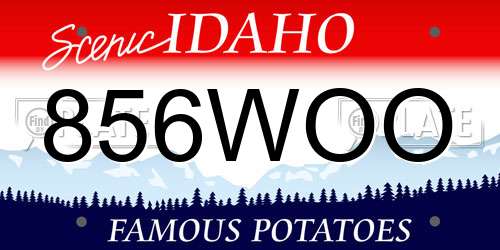 856WOO Idaho License Plate