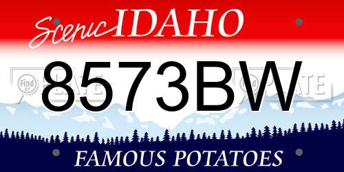 8573BW Idaho License Plate