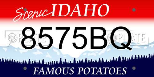 8575BQ Idaho License Plate