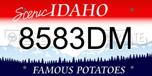 8583DM Idaho License Plate