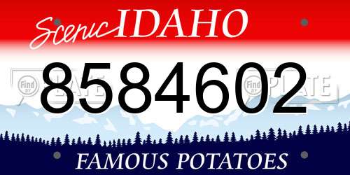 8584602 Idaho License Plate