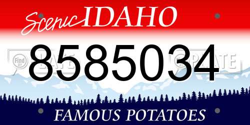 8585034 Idaho License Plate