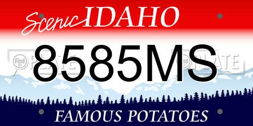8585MS Idaho License Plate