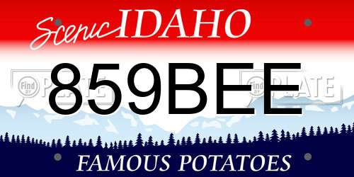 859BEE Idaho License Plate