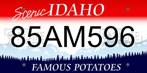 85AM596 Idaho License Plate
