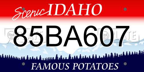 85BA607 Idaho License Plate