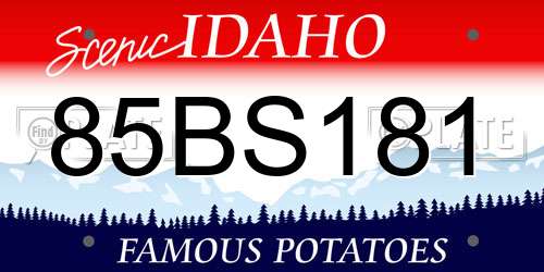 85BS181 Idaho License Plate
