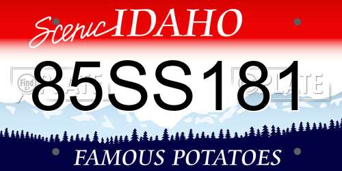 85SS181 Idaho License Plate