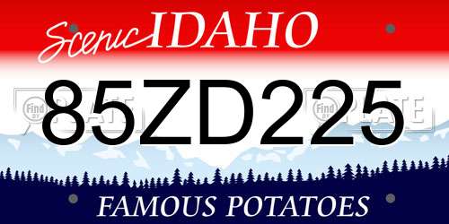 85ZD225 Idaho License Plate