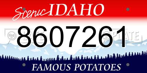 8607261 Idaho License Plate