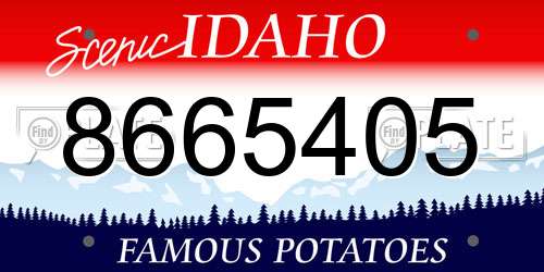 8665405 Idaho License Plate