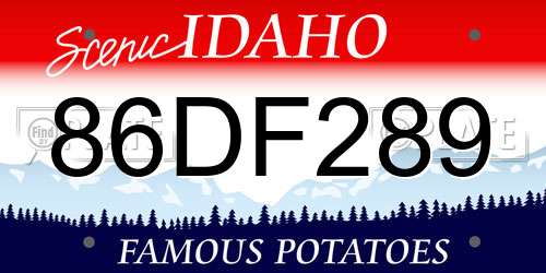 86DF289 Idaho License Plate