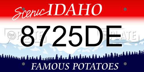 8725DE Idaho License Plate