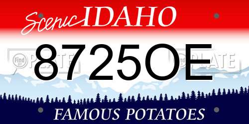 8725OE Idaho License Plate