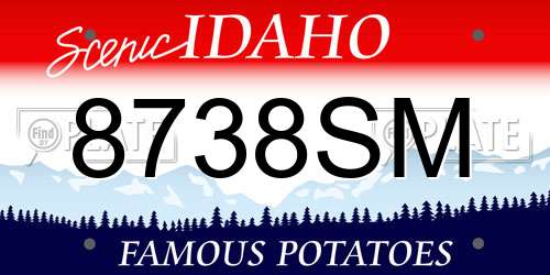 8738SM Idaho License Plate