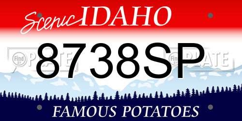 8738SP Idaho License Plate