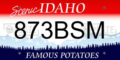 873BSM Idaho License Plate