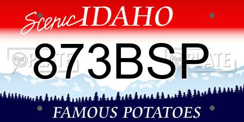 873BSP Idaho License Plate