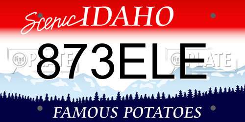 873ELE Idaho License Plate
