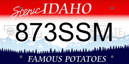 873SSM Idaho License Plate