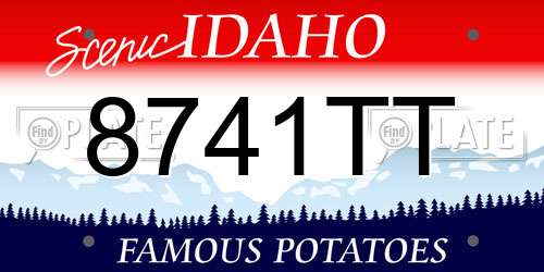 8741TT Idaho License Plate