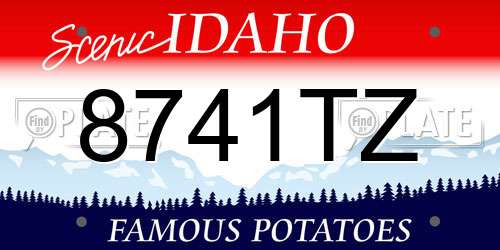 8741TZ Idaho License Plate