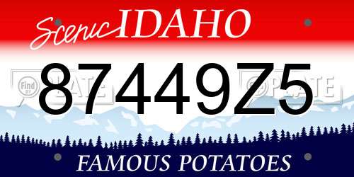 87449Z5 Idaho License Plate