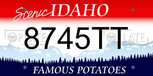 8745TT Idaho License Plate