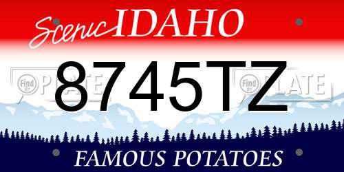 8745TZ Idaho License Plate
