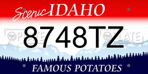 8748TZ Idaho License Plate