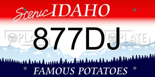 877DJ Idaho License Plate